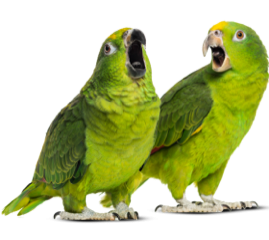 Wir hinterlassen Spuren.